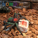 Nomoypet Square Resin Bowl Environmental Protection 5 x 4 x 3cm